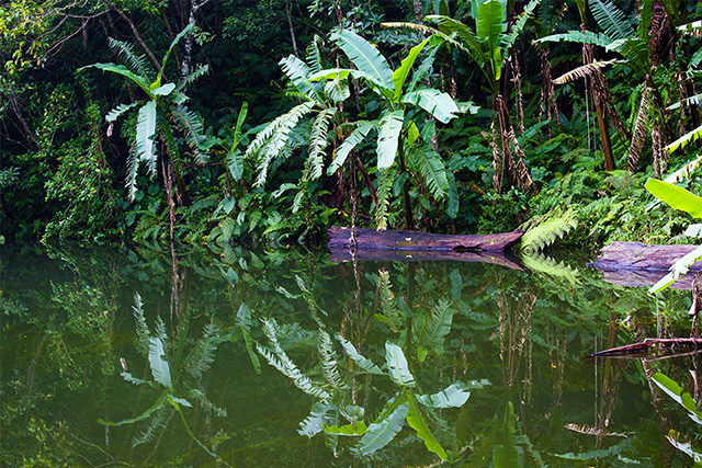 Lake Balinsasayao